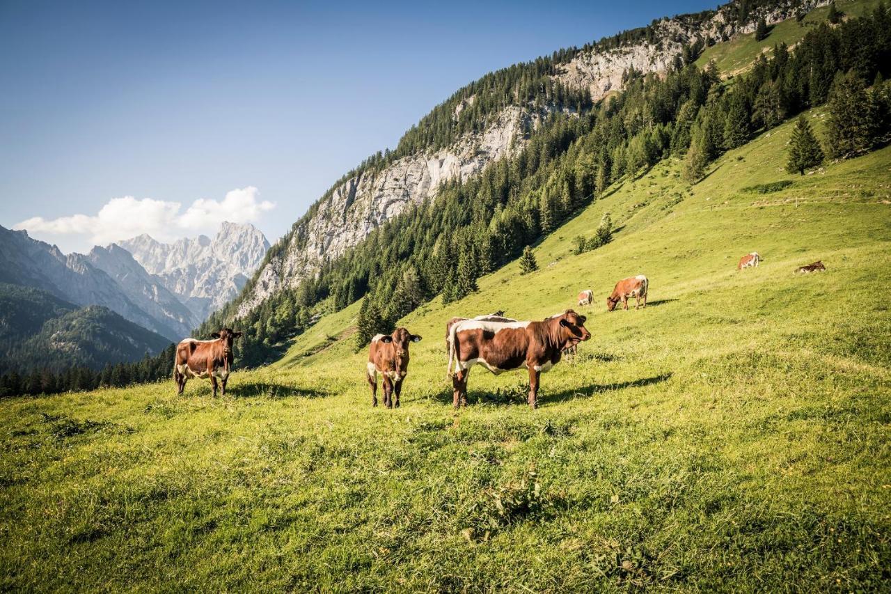 Exklusive Fewo Drachleck Mit 3 Schlafzimmern & Panoramabergblick In Bester Lage Schönau am Königssee Εξωτερικό φωτογραφία